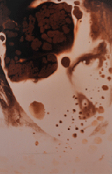 moira antonello
