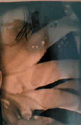 moira antonello