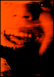 moira antonello