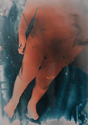moira antonello