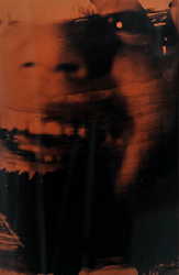 moira antonello