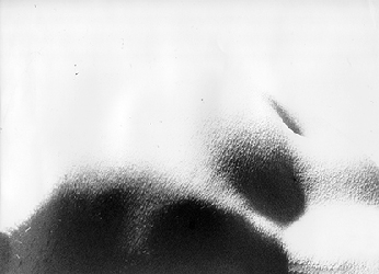 moira antonello