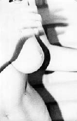 moira antonello