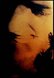 moira antonello
