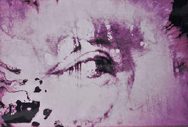 moira antonello