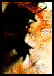 moira antonello