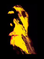 moira antonello