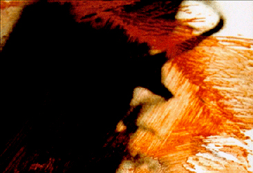 moira antonello