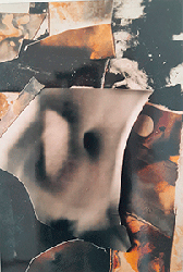 moira antonello