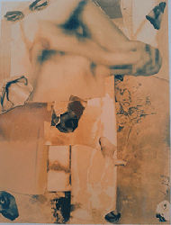moira antonello