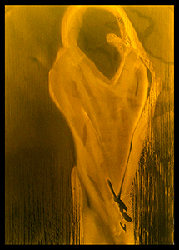 moira antonello