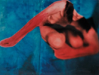 moira antonello