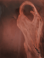 moira antonello